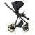 Caviar-black-Vintage-Collection-2.0-s1.jpg