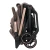 Liska7.webp